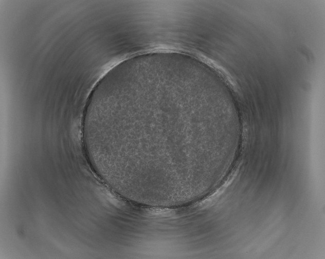 X0000110941170200907171602