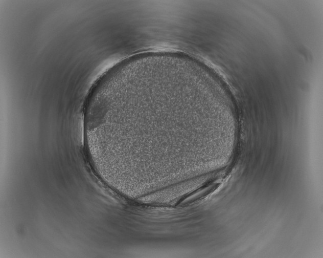 X0000110941171200907171602