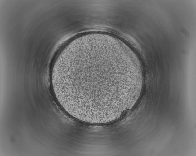 X0000110941172200907171602