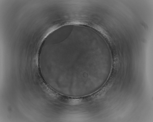 X0000110941173200907171602