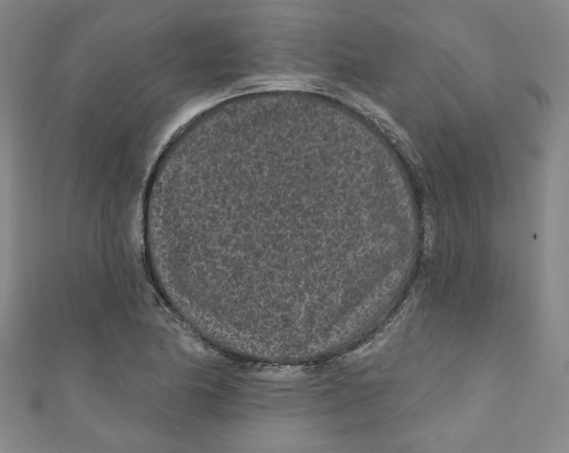 X0000110941174200907171602