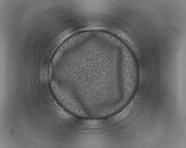 X0000110941177200907171602