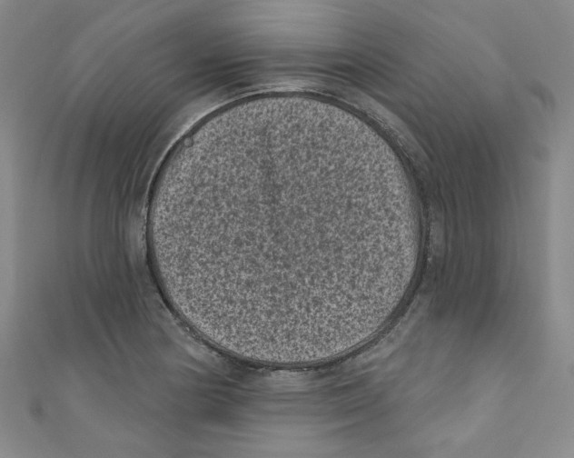 X0000110941178200907171602