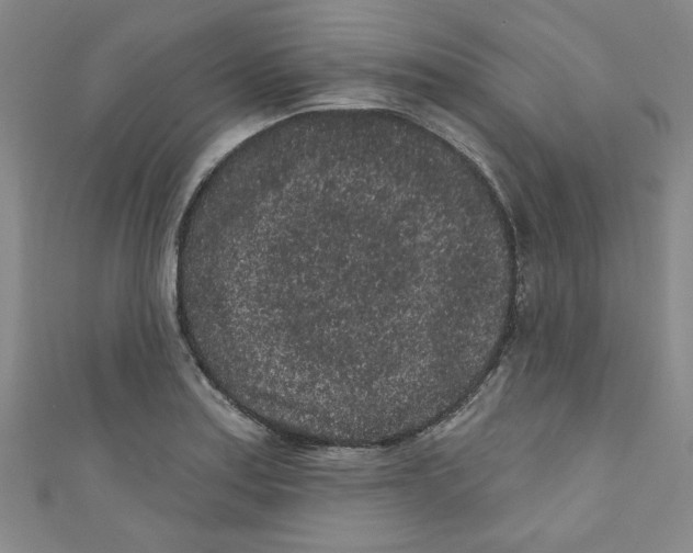 X0000110941179200907171602