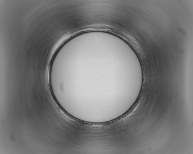 X0000110941180200907171602