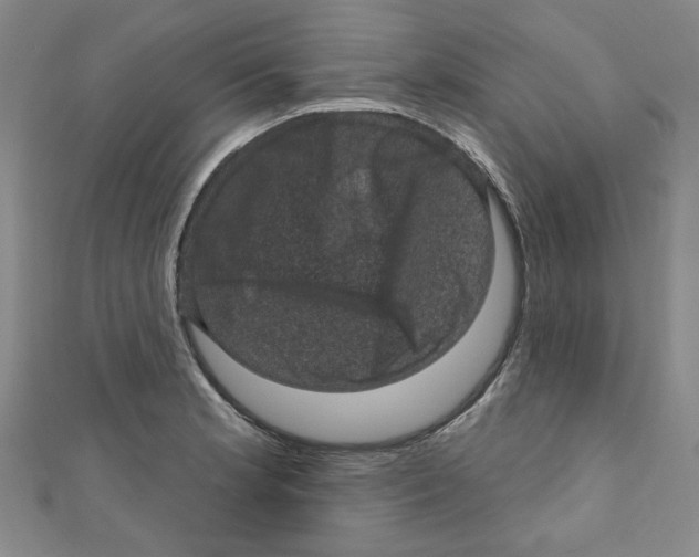 X0000110941181200907171602