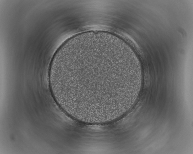 X0000110941182200907171602