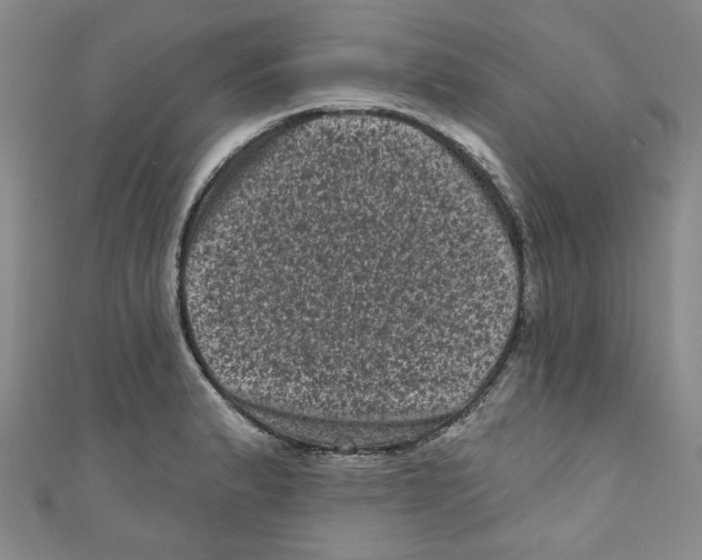 X0000110941183200907171602