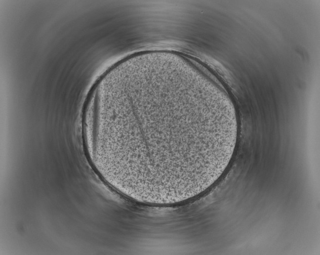 X0000110941184200907171602