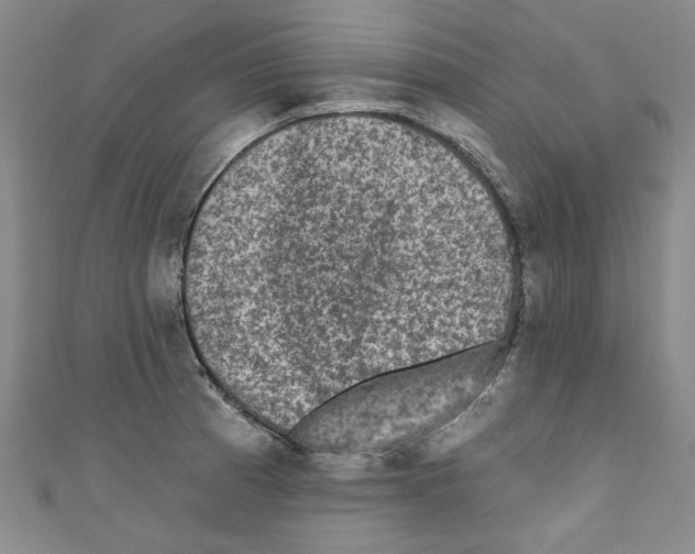 X0000110941185200907171602