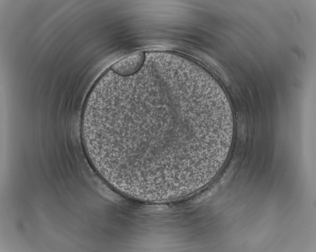 X0000110941186200907171602