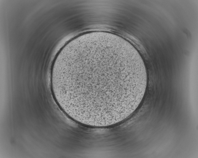 X0000110941188200907171602