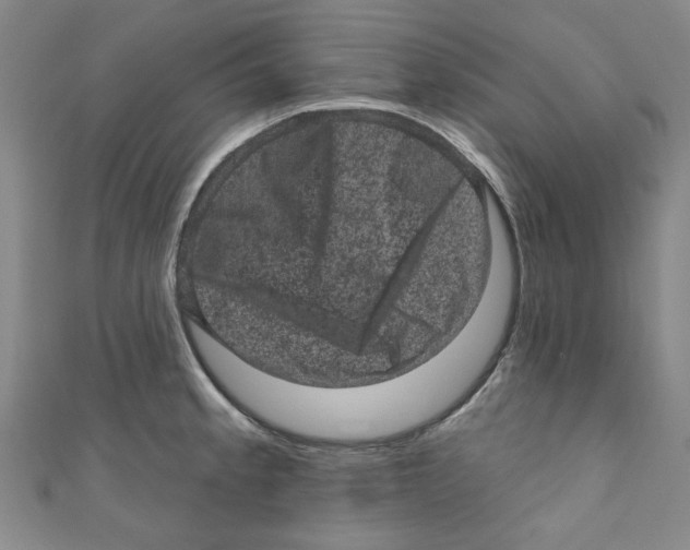 X0000110941189200907171602
