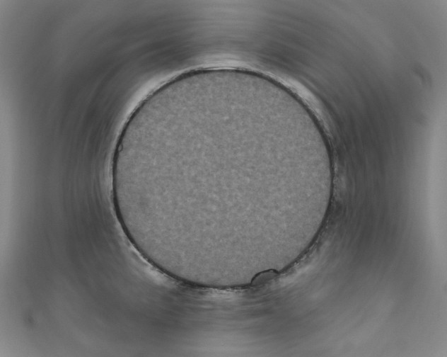 X0000110941191200907171602