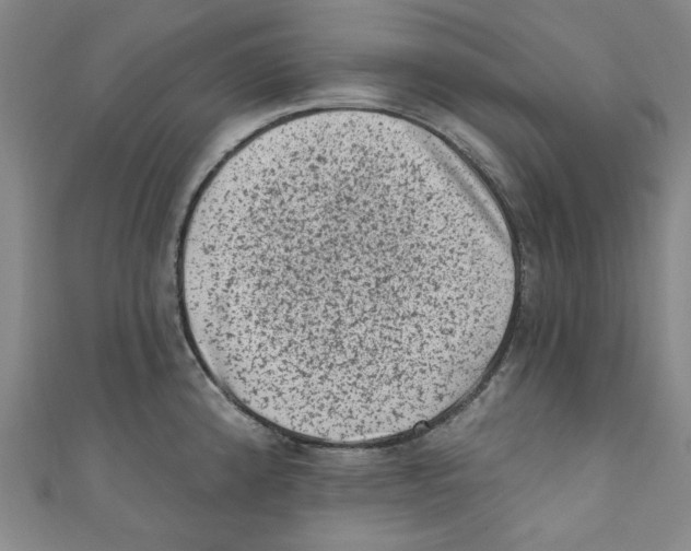 X0000110941192200907171602