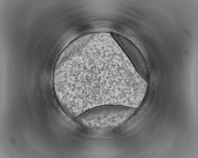 X0000110941193200907171602