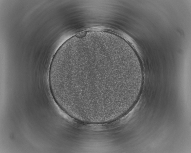 X0000110941194200907171602