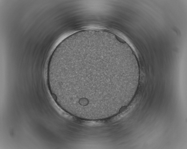 X0000110941195200907171602