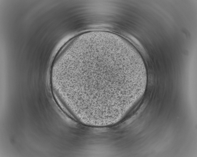 X0000110941196200907171602