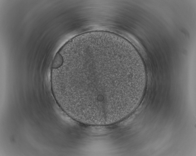 X0000110941198200907171602