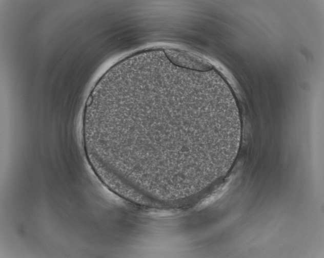 X0000110941199200907171602