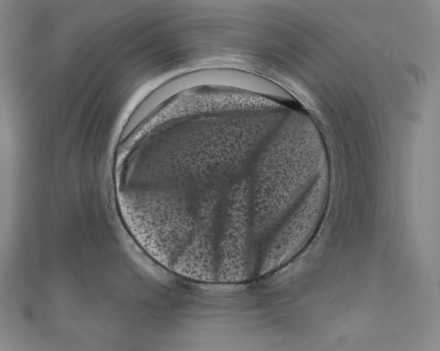 X0000110941200200907171602
