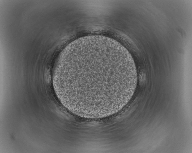 X0000110941204200907171601
