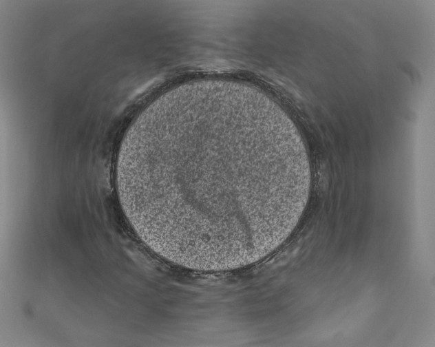 X0000110941205200907171601