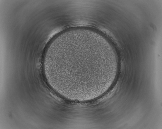 X0000110941210200907171601