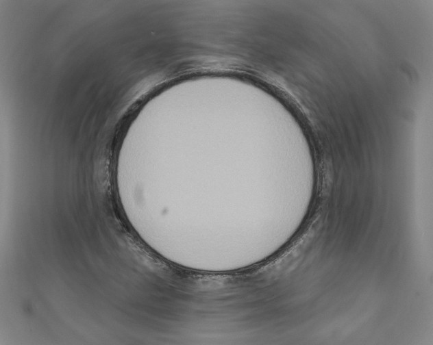 X0000110941211200907171601