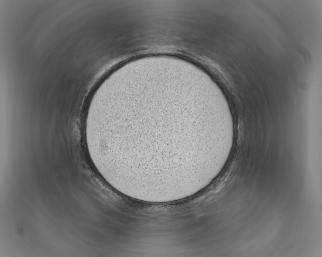 X0000110941212200907171601