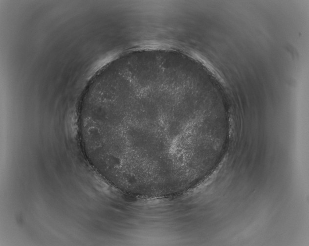 X0000110941213200907171601
