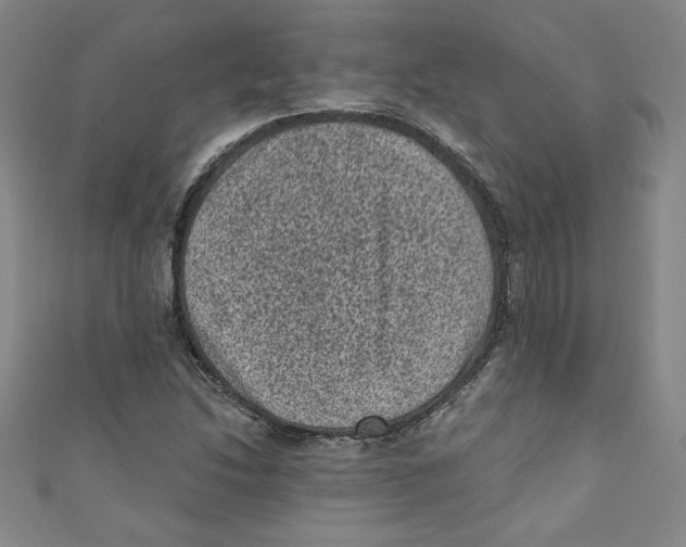 X0000110941214200907171601