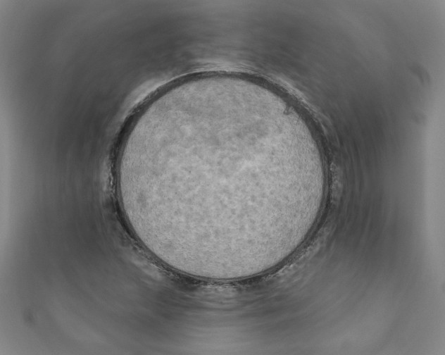 X0000110941215200907171601