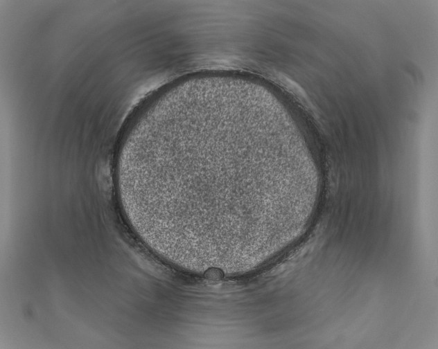 X0000110941218200907171601