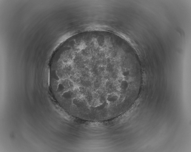 X0000110941219200907171601