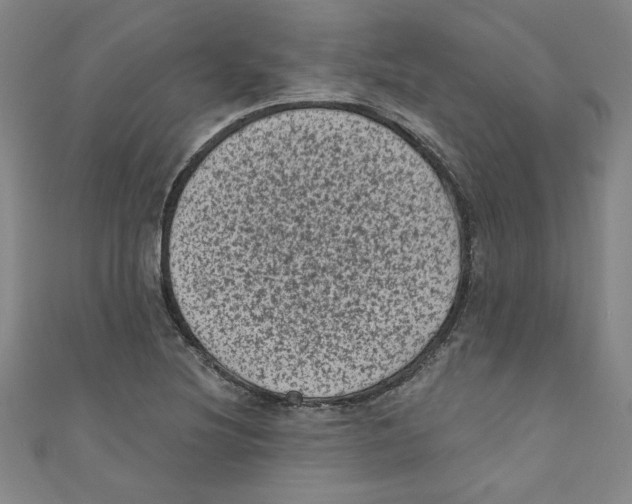 X0000110941220200907171601