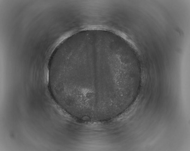 X0000110941221200907171601