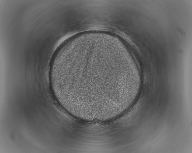 X0000110941222200907171601