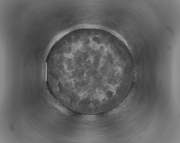 X0000110941223200907171601