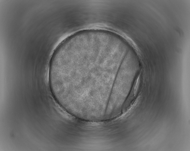 X0000110941224200907171601