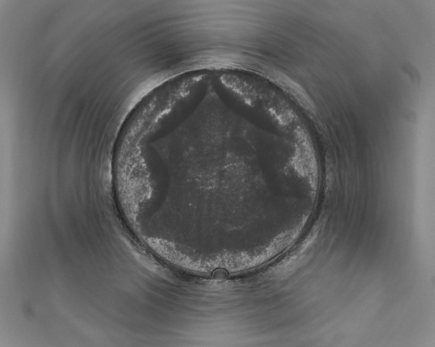 X0000110941226200907171601