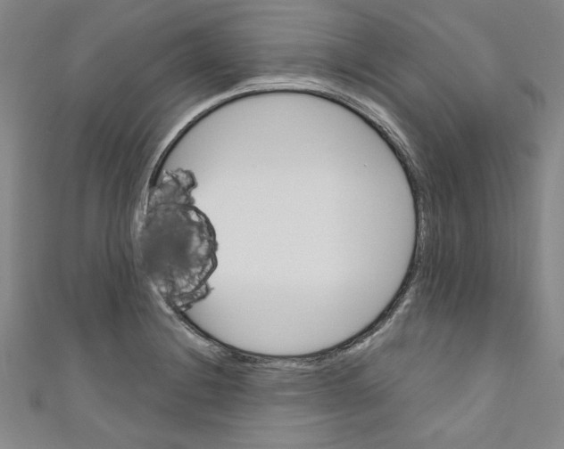 X0000110941228200907171601
