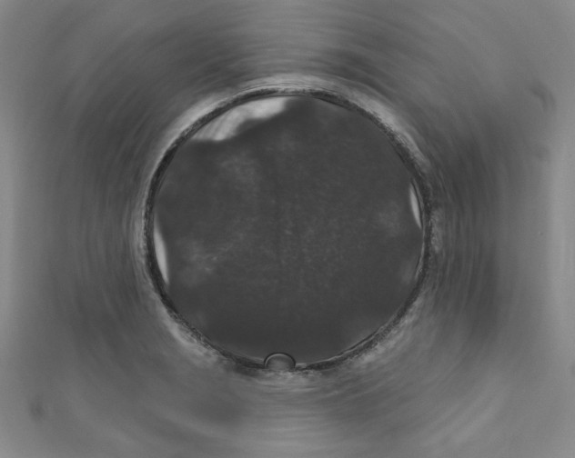 X0000110941229200907171601