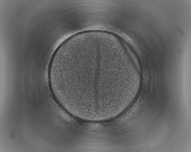 X0000110941230200907171601