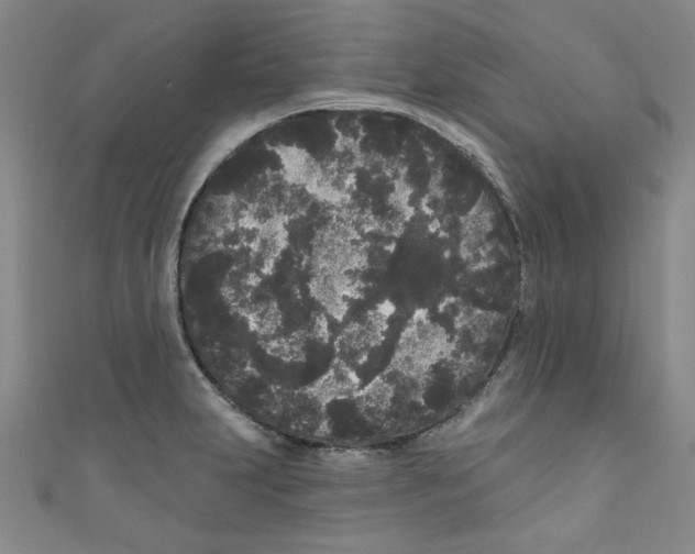 X0000110941231200907171601