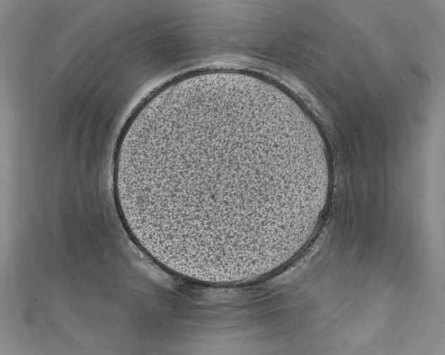 X0000110941232200907171601