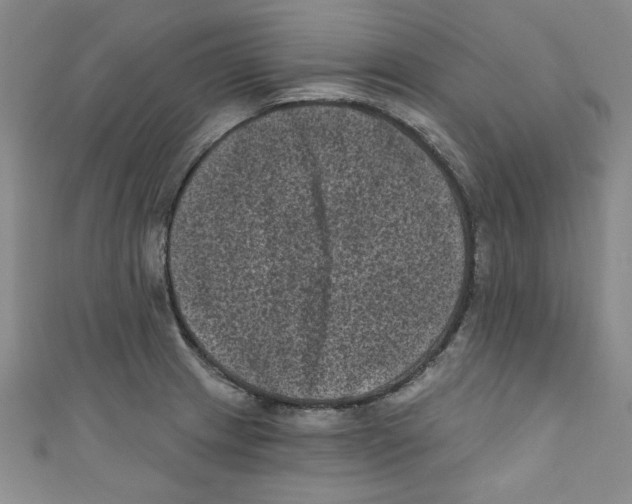 X0000110941233200907171601