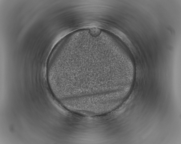 X0000110941234200907171601