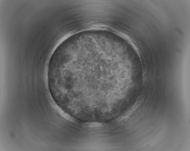 X0000110941235200907171601